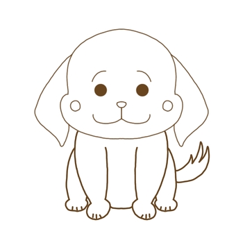 Golden retriever Golden retriever