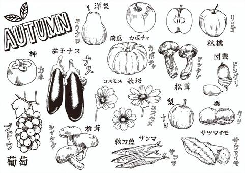 Fall illustration Fall illustration