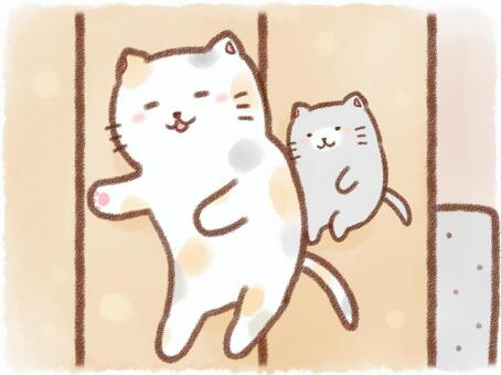 Sunflower cat Sunflower cat