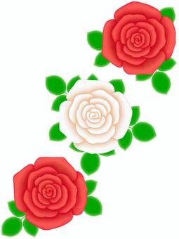 類似於黄薔薇 232 的免費插畫illustac