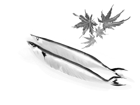 Ink painting style saury Ink painting style saury