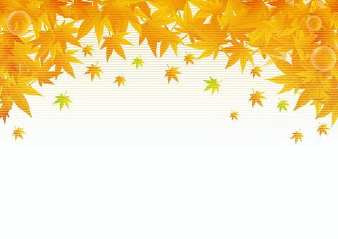 For autumn leaves background For autumn leaves background