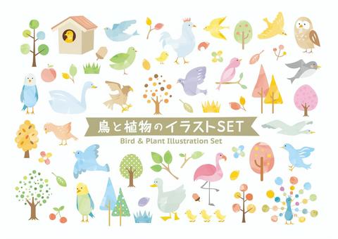 Bird and plant watercolor style set Bird and plant watercolor style set