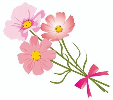 Cosmos bouquet Cosmos bouquet