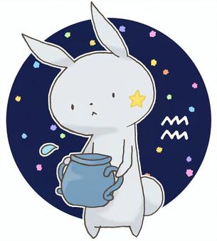 Constellation rabbits 13 Constellation rabbits 13