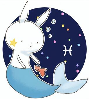 Constellation rabbits 14 Constellation rabbits 14