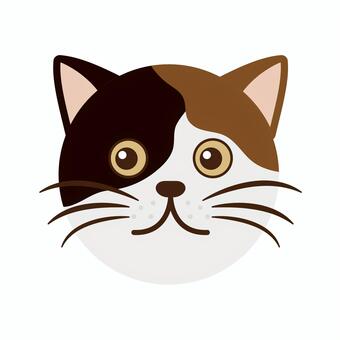 Cat's face Cat's face