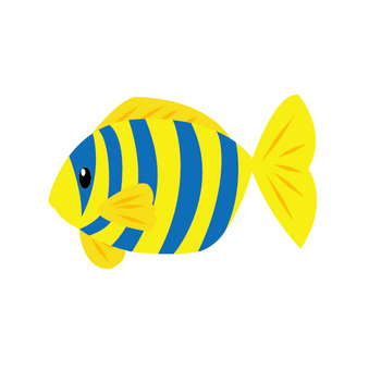 Anemone fish Anemone fish